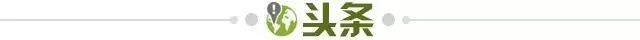 1687365076456074626.jpg 头条.jpg
